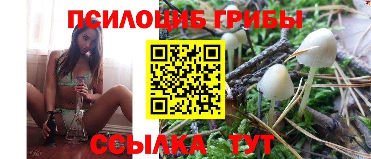 Псилоцибиновые грибы Cubensis  Вход с VPN  Чистополь 